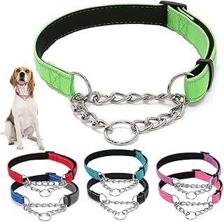 Martingale Dog Collar Wide 0.98