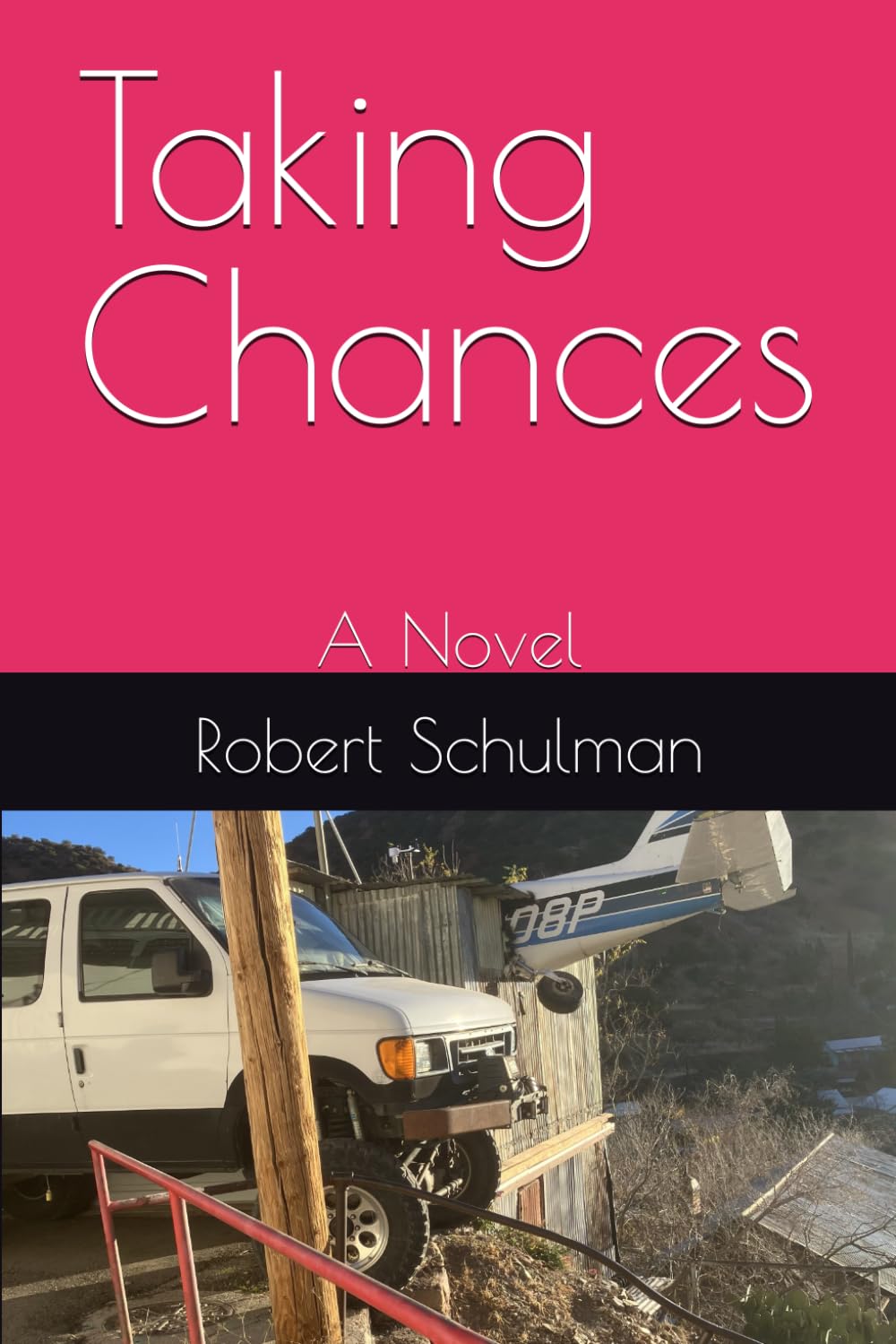 Taking Chances: A Novel (Love and Death in the Time of Covid)