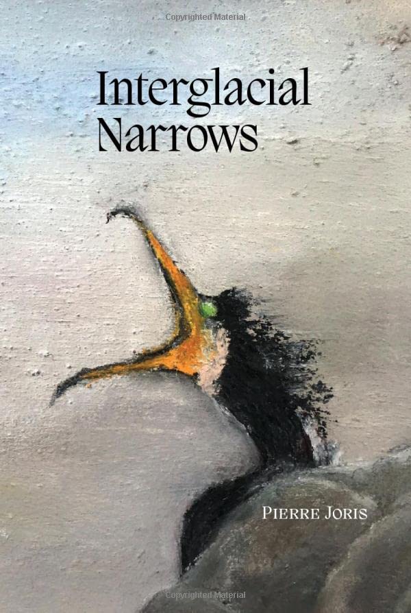 Interglacial Narrows