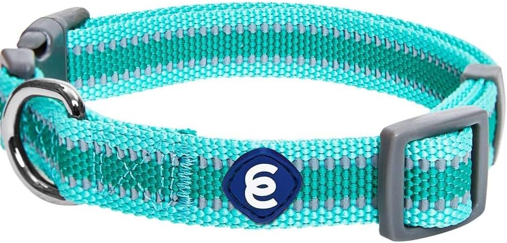 Blueberry Pet Essentials Matching Small Dog Collar | Adjustable Classic Solid Color Nylon Dog Collars for Small Dogs | Reflective Minty Green Dog Collar for Small Dogs