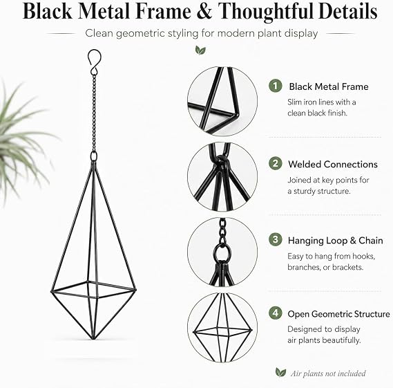 Black Hanging Air Plant Holders, Large Geometric Metal Tillandsia Hangers