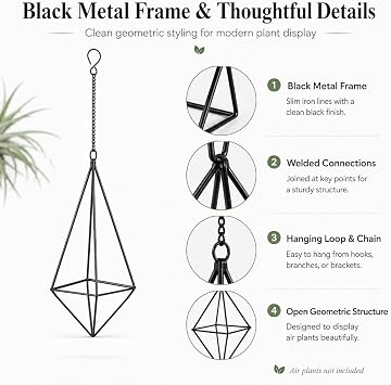Black Hanging Air Plant Holders, Large Geometric Metal Tillandsia Hangers
