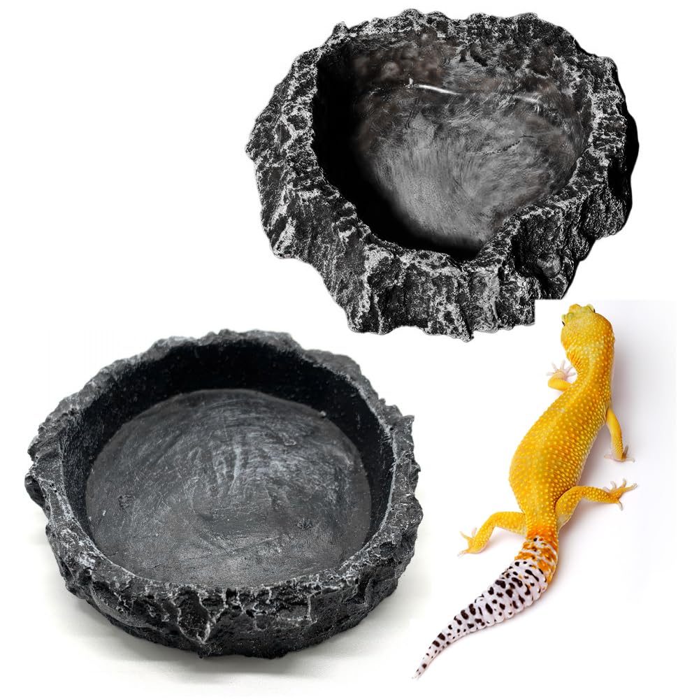 Amazon | CHANGJIQ 爬虫類 水入れ 餌入れ 2個入 水飲み皿 自然の岩