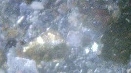 Review Image by AmazonGrace AmazonGrace