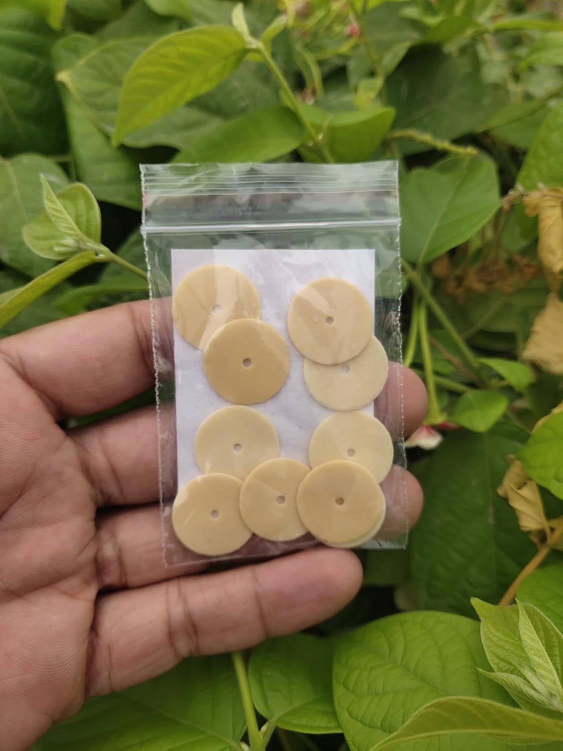 Dental Rubber Disc For BattisI (Pack of 2 Total 20 Pieces 2X10=20) 1