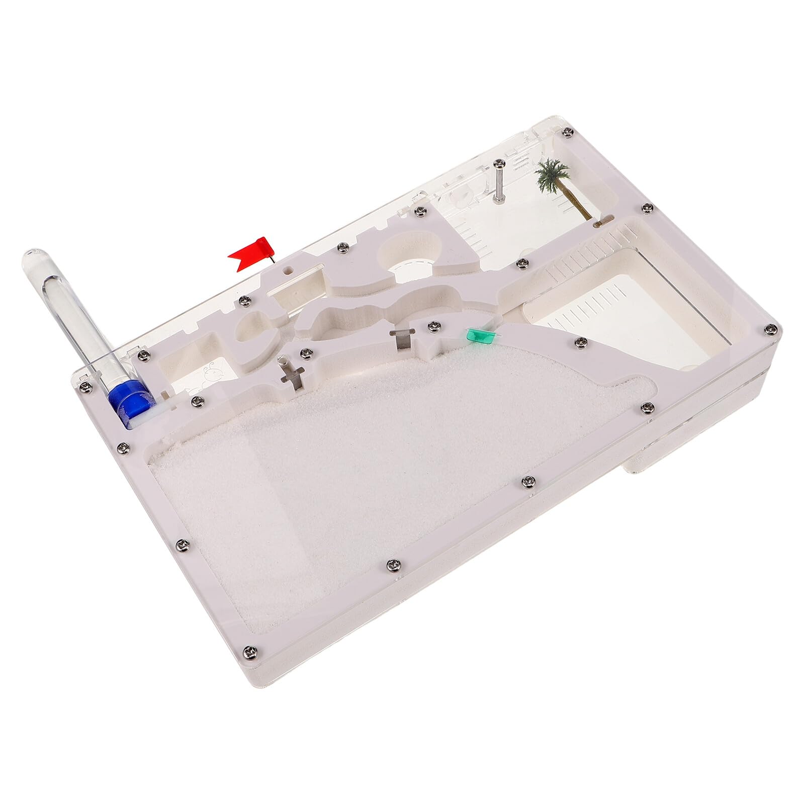 iplusmile Juguetes Ecoeducativos Hormiguero de Observación para Insectos Kit de Experimentos Científicos para Aprender Interiores y Exteriores Hábitat Ecológico