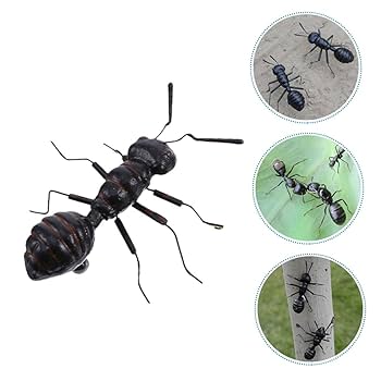 映画　アリのままでいたい　クリアファイル　入手困難　レア　希少品 710hsrAzyPL._AC_UL210_SR210,