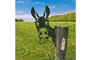 Charming Donkey Planter: A Whimsical Oasis for Your Garden