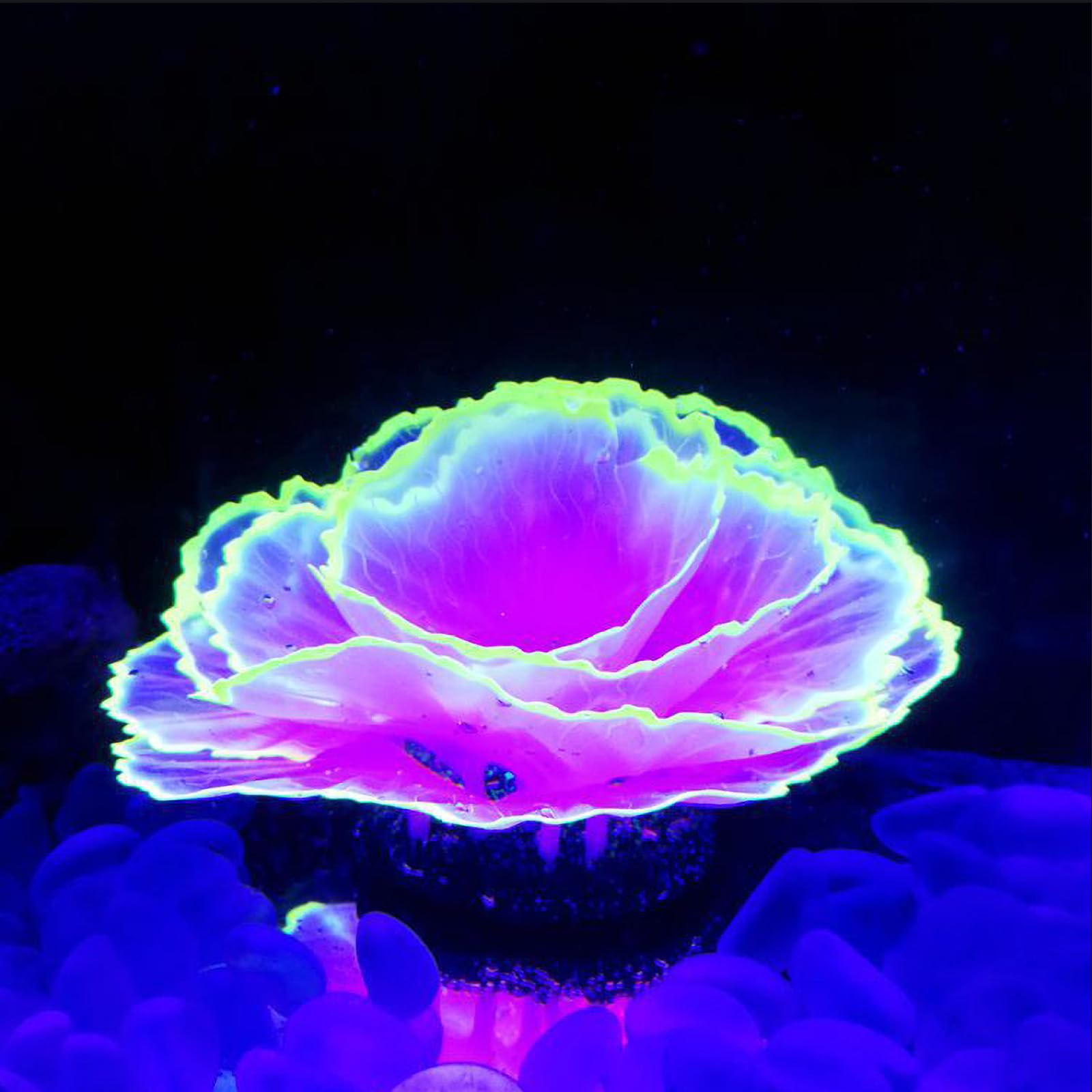 Besimple Adorno de Coral para Acuario, Efecto Brillante, decoración de Resina para pecera, decoración para Paisaje de Acuario