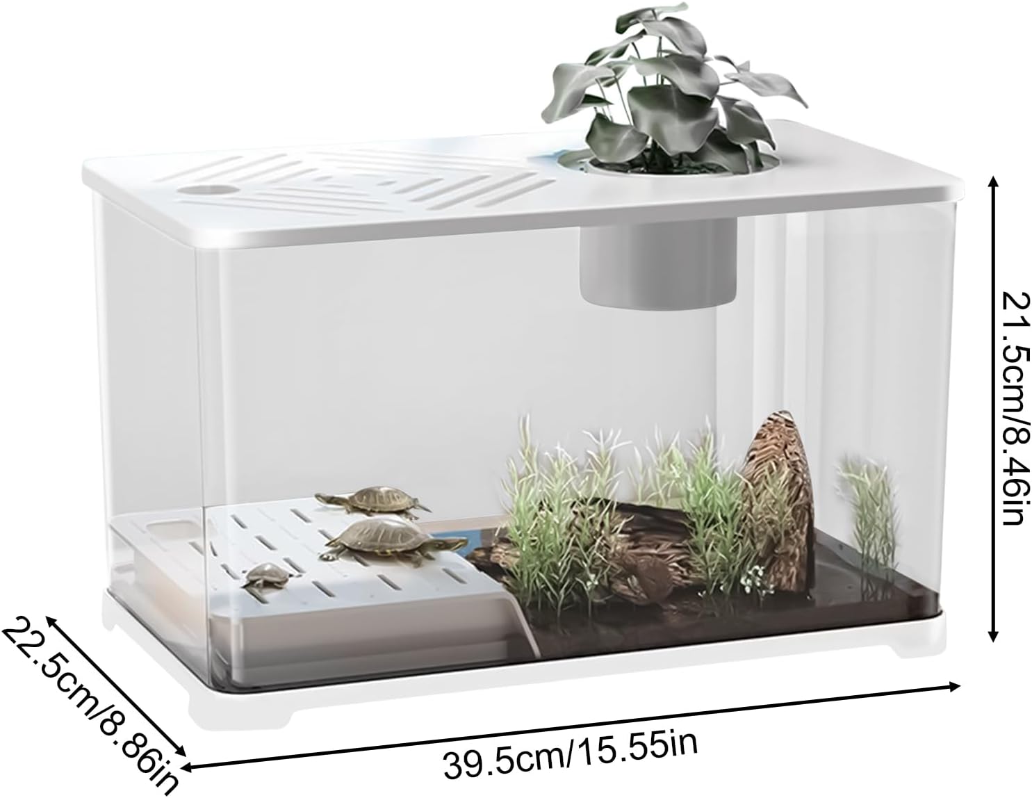 Fish Tank, Large Aquarium Kit, Modern Desktop Container, Built-in Turtle Resting Area, 15.55x8.86x8.46 inches, Decorative Home Display for Betta, Shrimp, Aquatic Planting