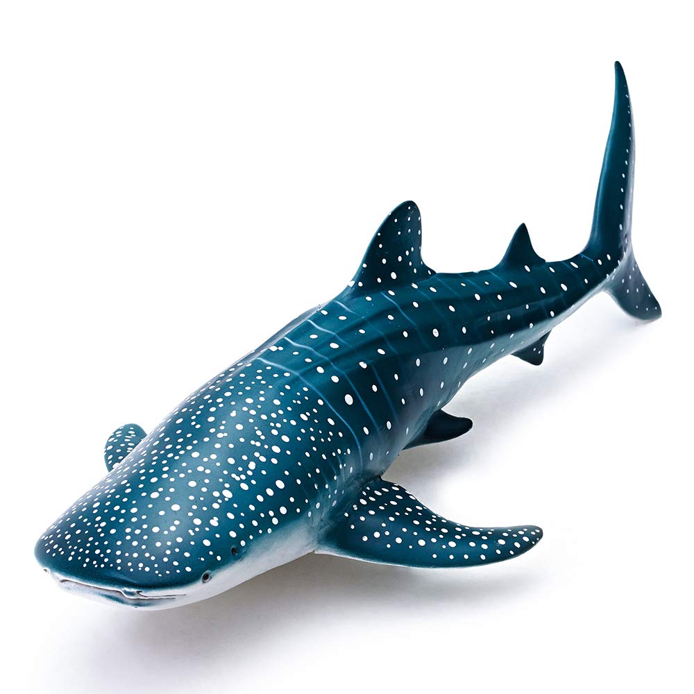 RECUR Toys 12” Whale Shark Figure Toys, Soft Hand-Painted Skin Texture Ocean Life Shark Figurine Collection-Replica 1:56 Scale Realistic Whale Shark Model Replica, Ideal for Collectors, Ages 3 And Up
