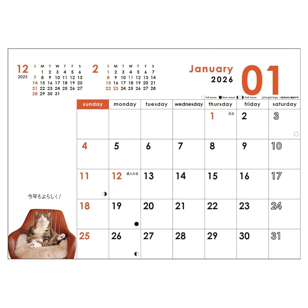 maruさま2026 7137oLHlbyL._AC_SX679_.jpg