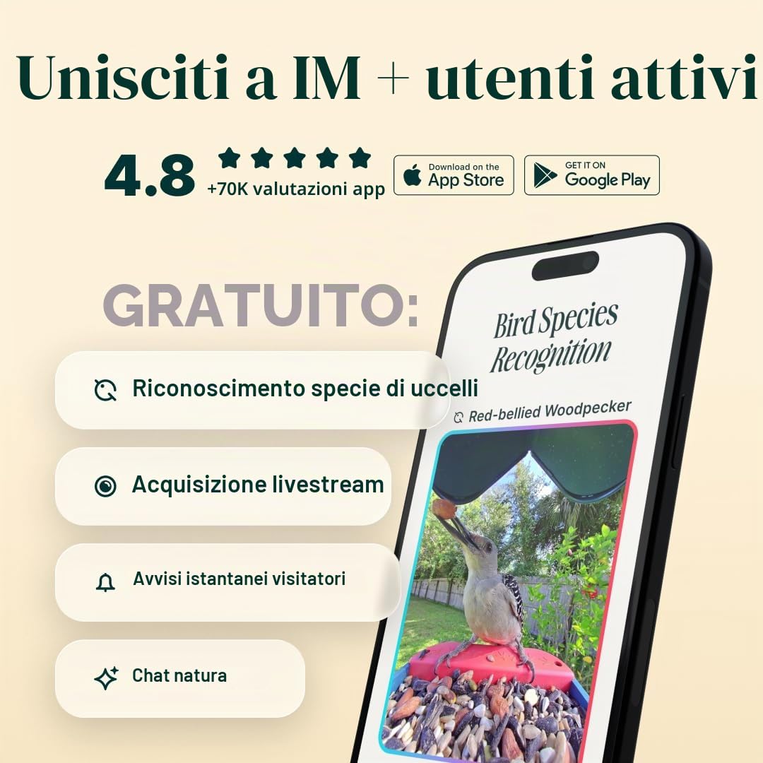 Bird Buddy - Mangiatoia Intelligente per Uccelli Blu con Pannello Solare 2.0