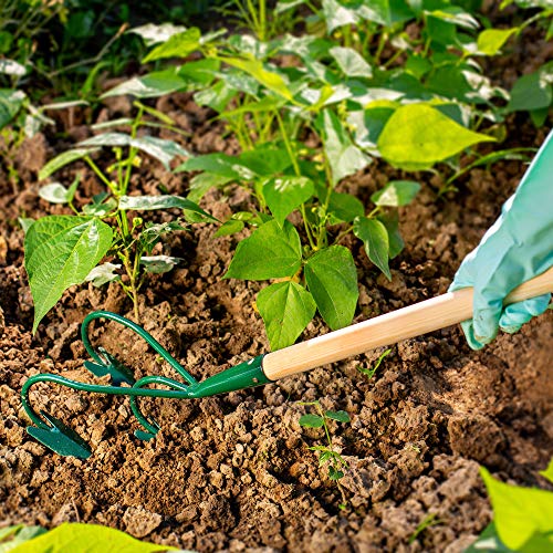 KADAX Grubber, Gartenkralle, Gartenhacke zum Lockern des Bodens, Kultivator für Garten, Handgrubber aus Metall, Blumenkralle, Gartenzubehör, Blumenharke, Bodenlüfter (3 Zinken, mit Holzstiel) – Bild 3