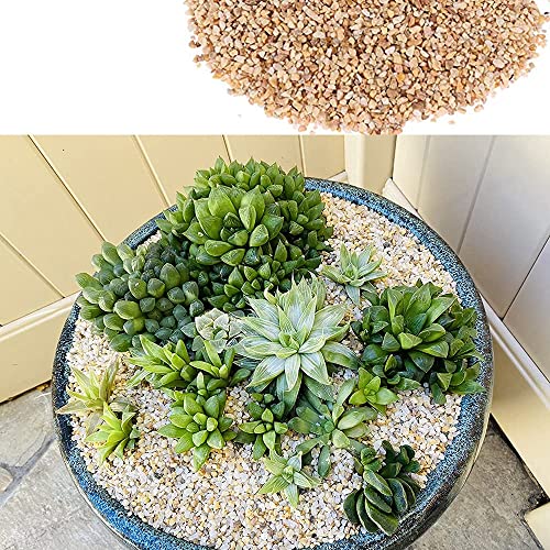 Image of 18lb Cactus Pea Gravel Rocks,1 /5 Inch Pebbles for Indoor Plants, Natural Succulent Rock and River Rocks Decorative for Aquariums, Vases, Terrarium, Outdoor Gardening, Top Dressing for Potted Plants