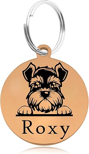 Miniatura 6 de Etiquetas para perro grabadas para mascotas, etiqueta de perro personalizada, etiquetas de identificación de perro de acero inoxidable