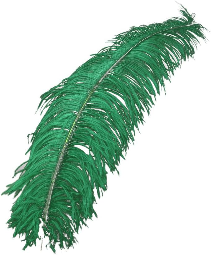 Koerner Ostrich Feather, 50-60Cm, Green