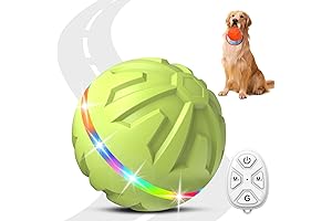 Remote Control Dog Ball: Keep Your Furry Friend Active and Engaged