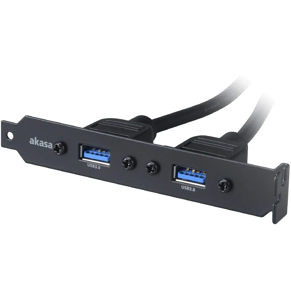 Câble Adaptateur USB 3.0 Vers USB 2.0 Interne Akasa - 10cm Noir
