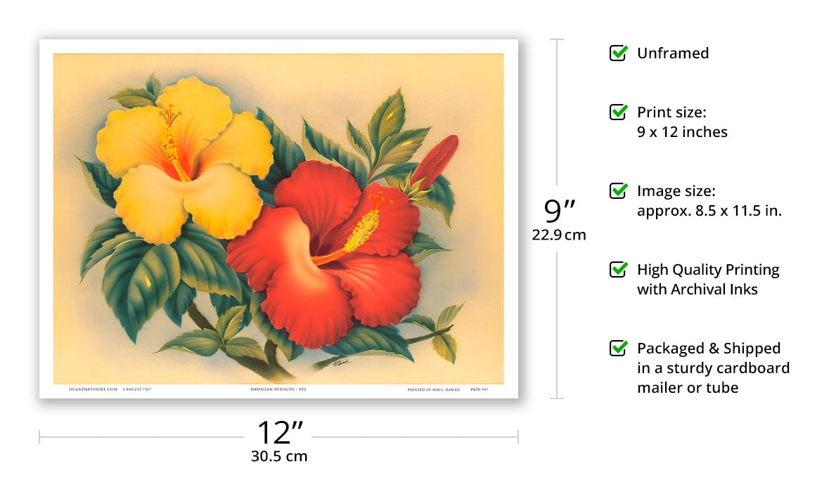 70年代 ビンテージ ルック JTB さくらカラー コニカ ハワイ ポスター 61xuvjWc-dL._UF350,350_QL50_.jpg