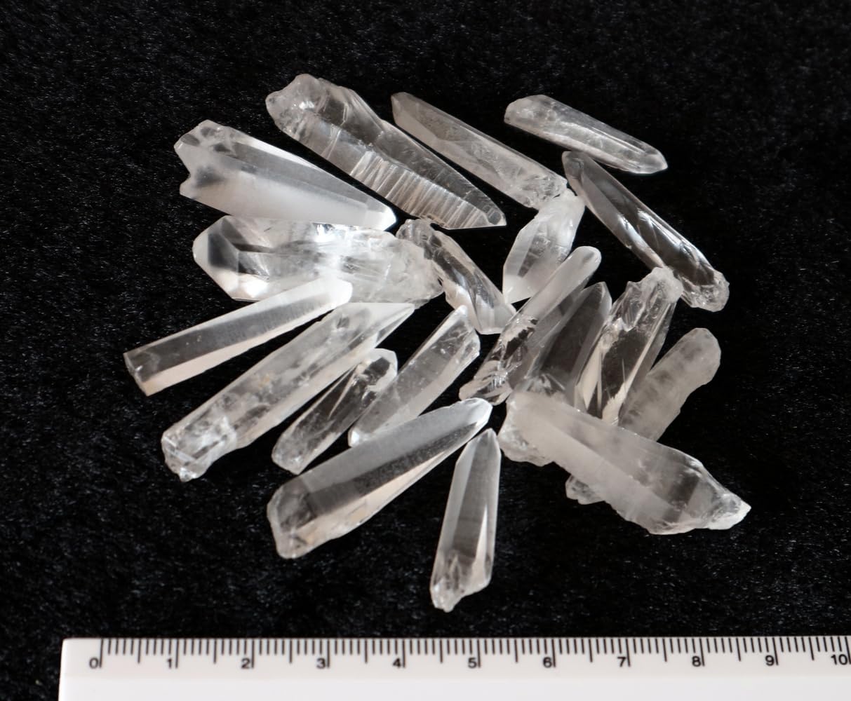 Amazon.co.jp: レムリアンシード（セーラ・デ・カブラル産）【AA】ミニ