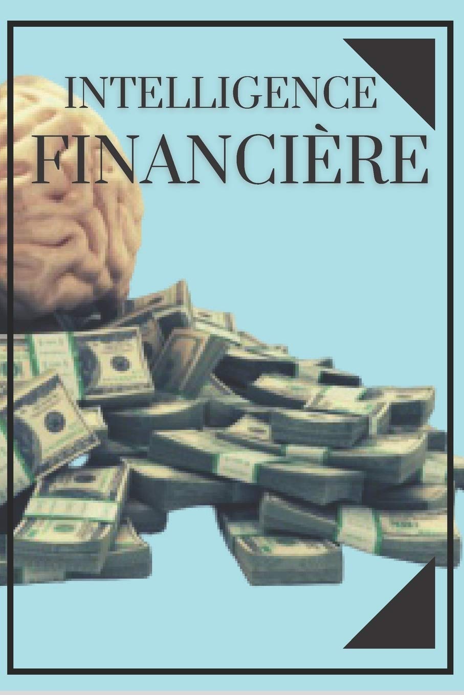 INTELLIGENCE FINANCIÈRE: Éduquez votre esprit et ne tombez pas dans le piège du travail (French Edition)