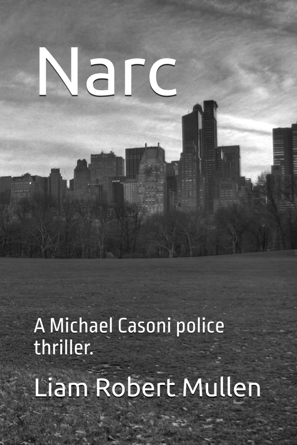 Narc: A Michael Casoni police thriller.