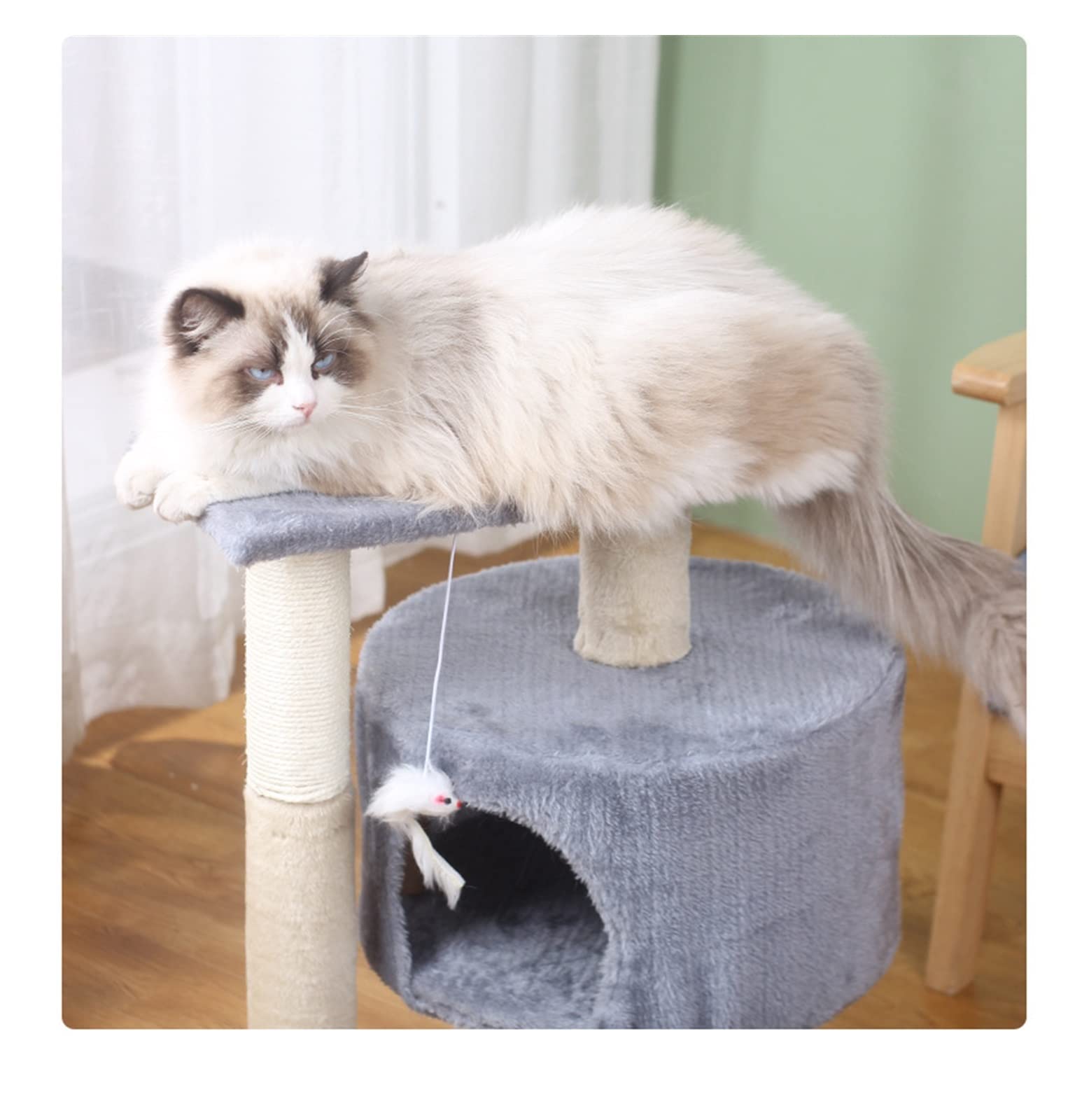 Muebles para Gatos Doble Pelea Gato pequeño Marco de Escalada Plataforma Salto molienda Garra Columna rascador Seta Mascota Juguete Suministros