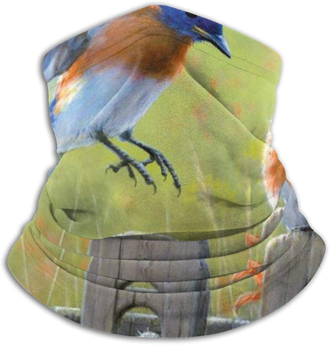 Sdltkhy Eastern Bluebird Neck Warmer Gaiter,Headband Face Bandana Head Wrap Scarf Neck Warmer Headwear Balaclava for Sports