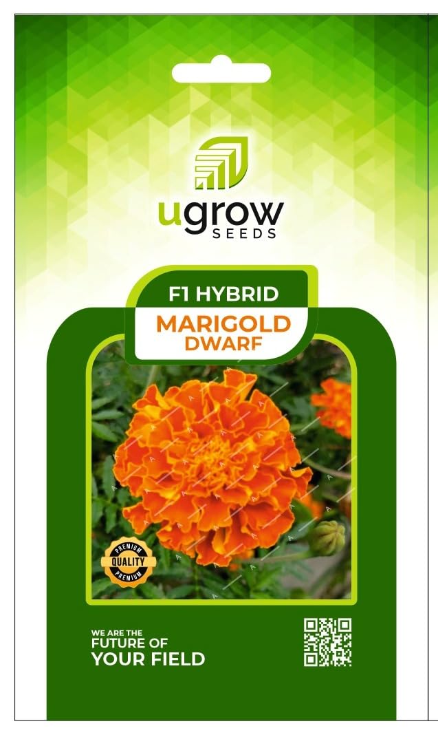marigold orange seeds flower seeds for gardening 50 above seeds winter flower seeds for gardening (B0BK4XF3CL) Amazon Price History, Amazon Price Tracker