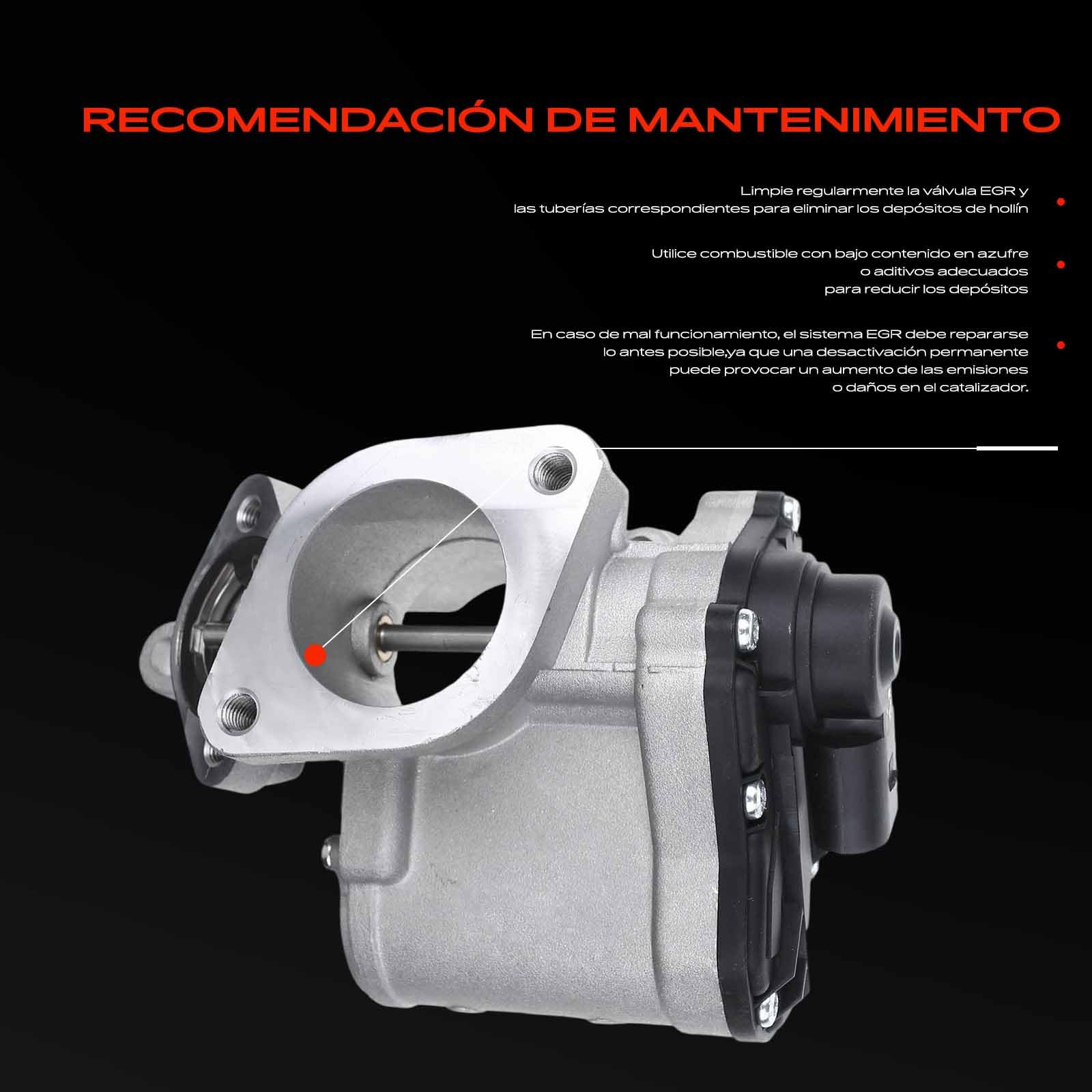 Frankberg Válvula EGR Compatible con Megan.e II BM0/1 CM0/1 1.9 dCi Laguna II Grandtour KG0/1 1.9 dCi Laguna II BG0/1 1.9 dCi Grand Vitara II JT TD TE 1.9 DDiS AWD Scénic II JM0/1 1.9 dCi 8200507299