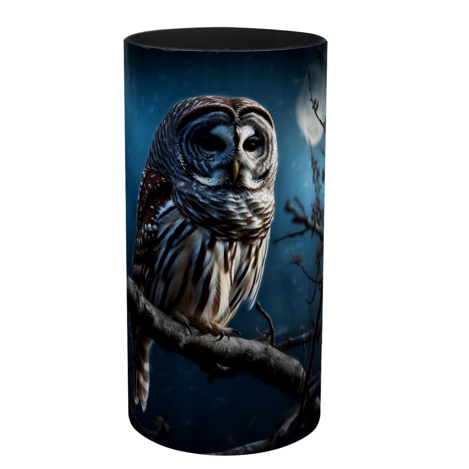 Boîte à musique hibou bleu pour ranger vos pinceaux et stylos éparpillés