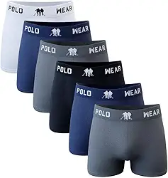 Kit C/6 Cuecas Boxer Polo Wear Microfibra Sortido
