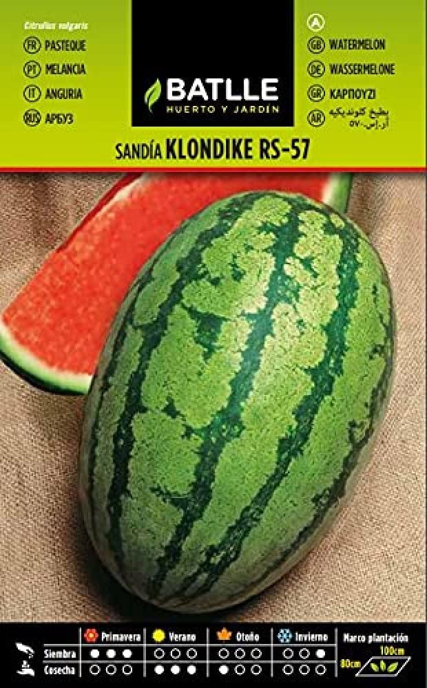 Semillas Batlle Klondike Rs-57 015704BOLS Nasiona Arbuza, 160 nasion