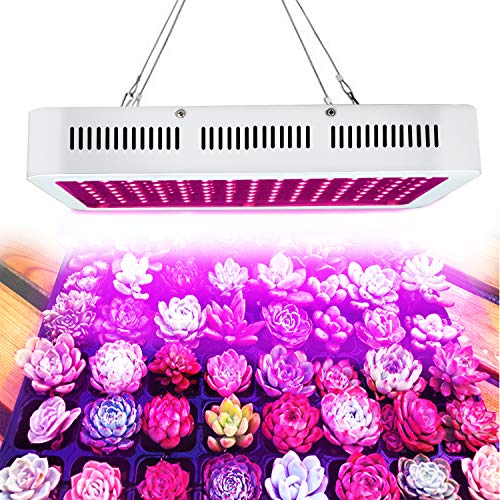 Amazon.co.uk Best Sellers The most popular items in Plant Growing