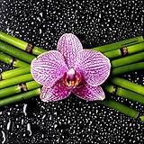 Stickers Zen Bambous galets nature spa orchidées sable bouddha