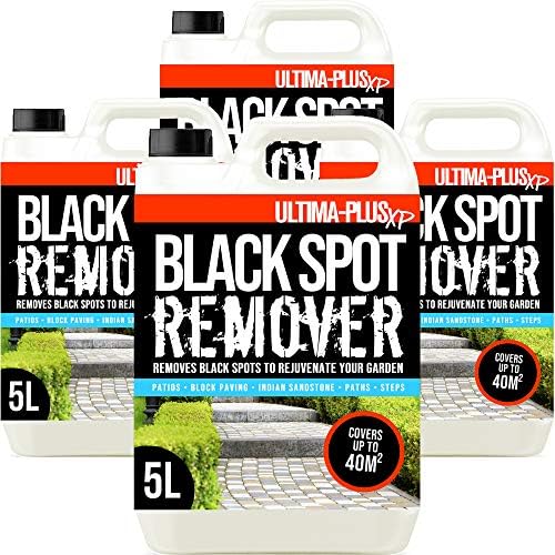 ProKleen Ultimate Black Spot Remover and Destroyer for Patio, Stone