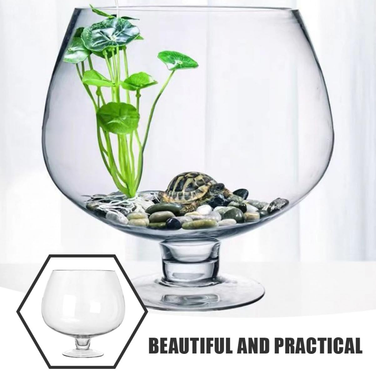 Mobestech Petit Aquarium Verre pour Poissons Betta Et Rouges Aquarium De Bureau Transparent Multifonction