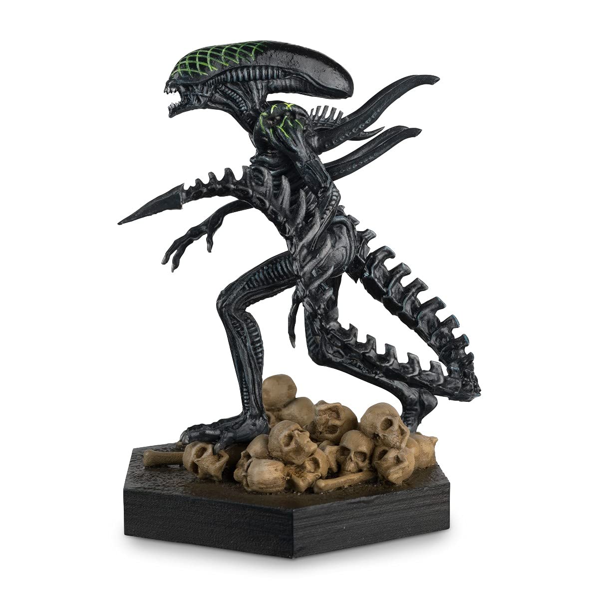 Amazon.co.jp: エイリアン - グリッド キセノモーフ (AvP) ボックス