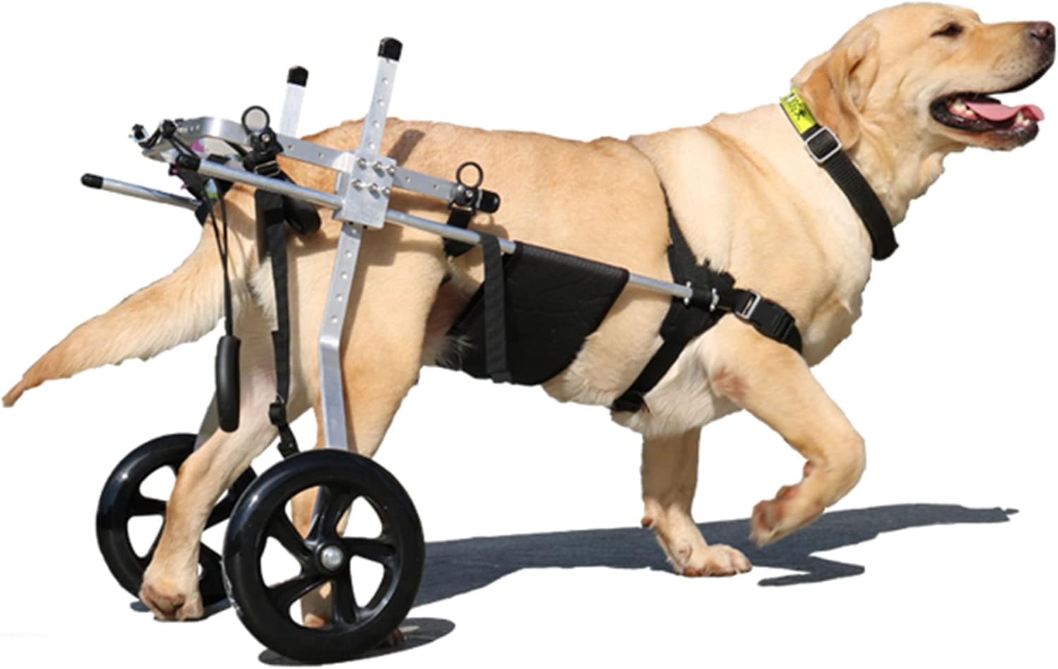 KROITY 2Wheels Dog Wheelchair for Medium/Large Dog, Stainless Steel