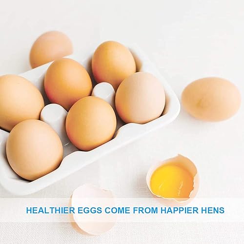 Vista 41 de Gusanos de harina secos, gusanos de harina a granel con alto contenido de proteínas, 22 libras, 100% sin OMG para aves, pollos, tortugas, peces