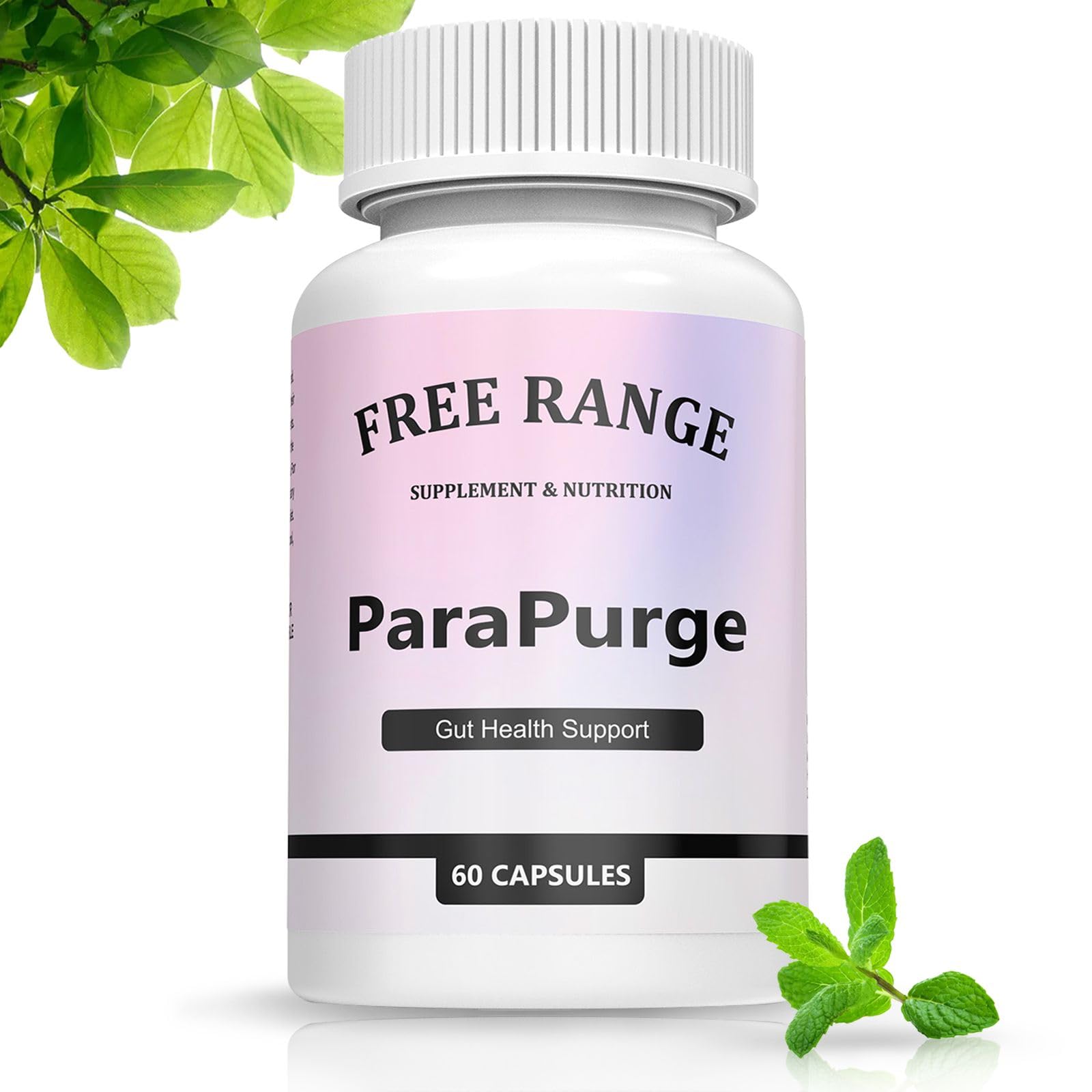 PARAPURGE Gut Cleanse - Gut and Colon Support Supplement, Non-GMO Formula, 60 Capsules (1PCS)