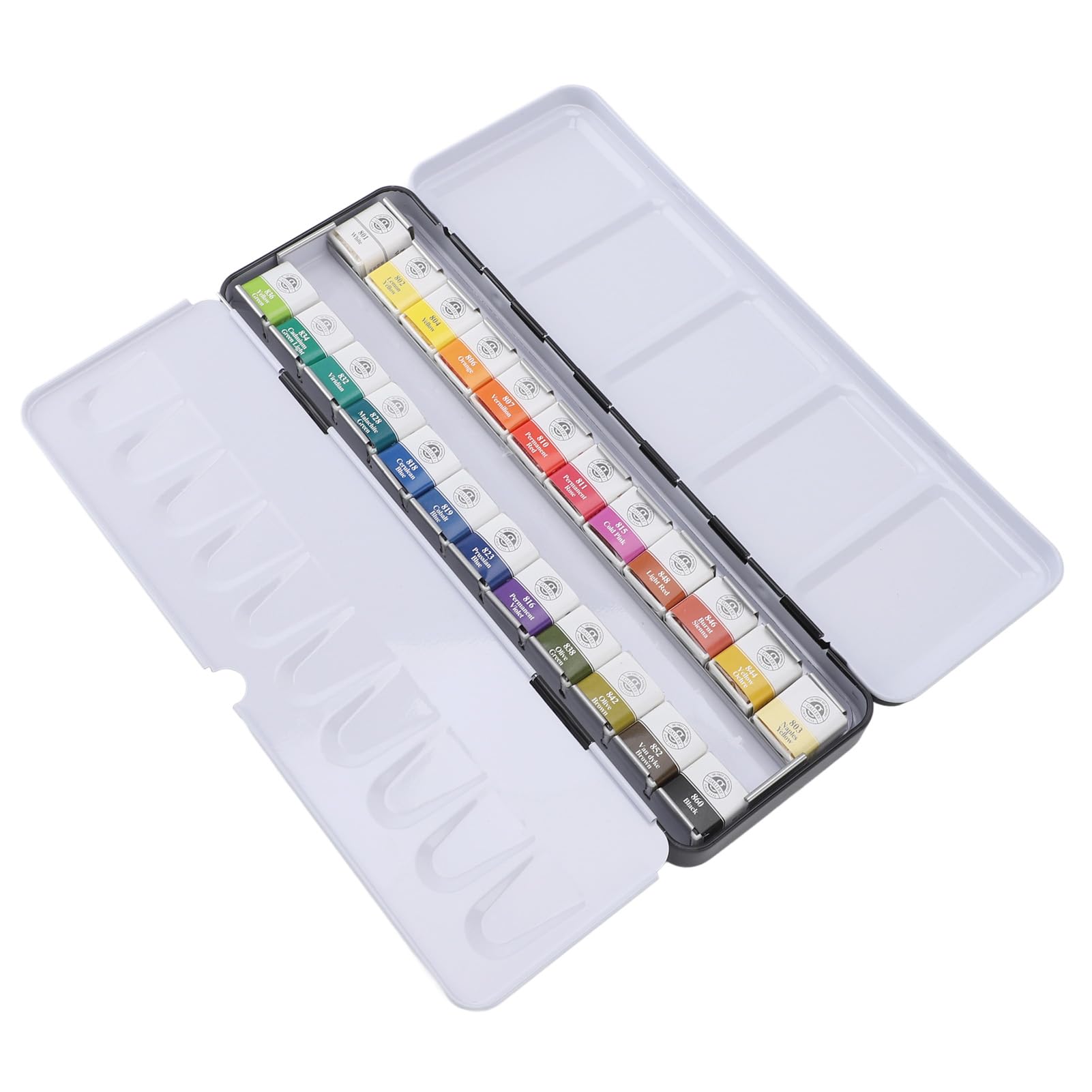 Jiawu Pintura de Acuarela, Juego de Acuarela Profesional Portátil Excelentes Efectos de Superposición Sólidos para Práctica de Dibujo (24 colores)