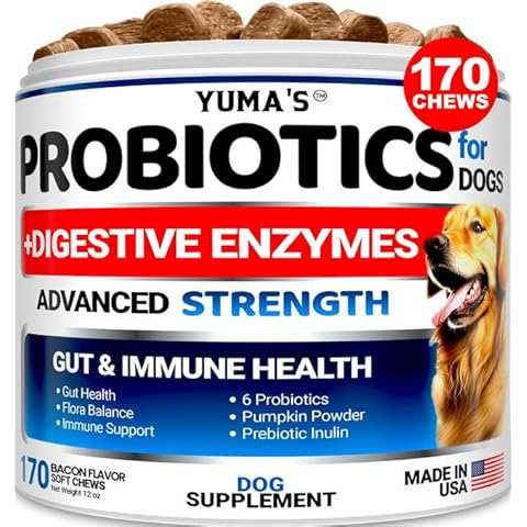 Probiotics for Dogs and Digestive Enzymes - 170 Dog Probiotics Chews - Dog Probiotic - Anti Diarrhea, Upset Stomach & Gas Relief, Canine Prebiotic - Pet Fiber Supplement - Bacon Flavor Cover