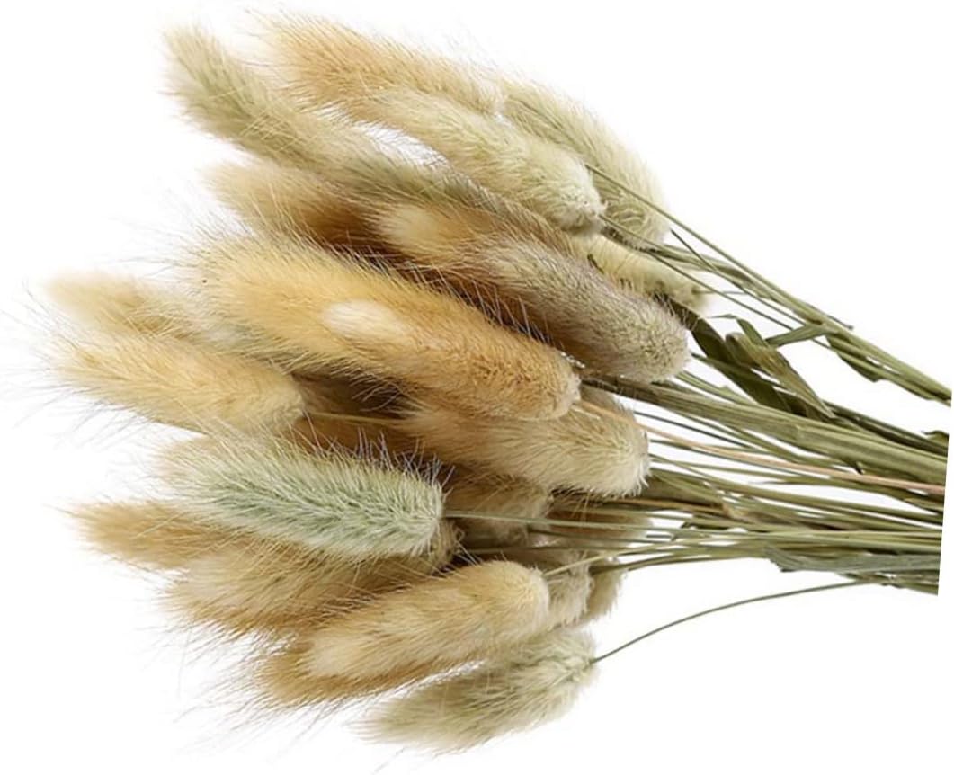 Levemolo 50pcs Dried Grass Pennisetum Rabbit Tail Bunny Tail Decorative Dried Flowers Pastoral Decor