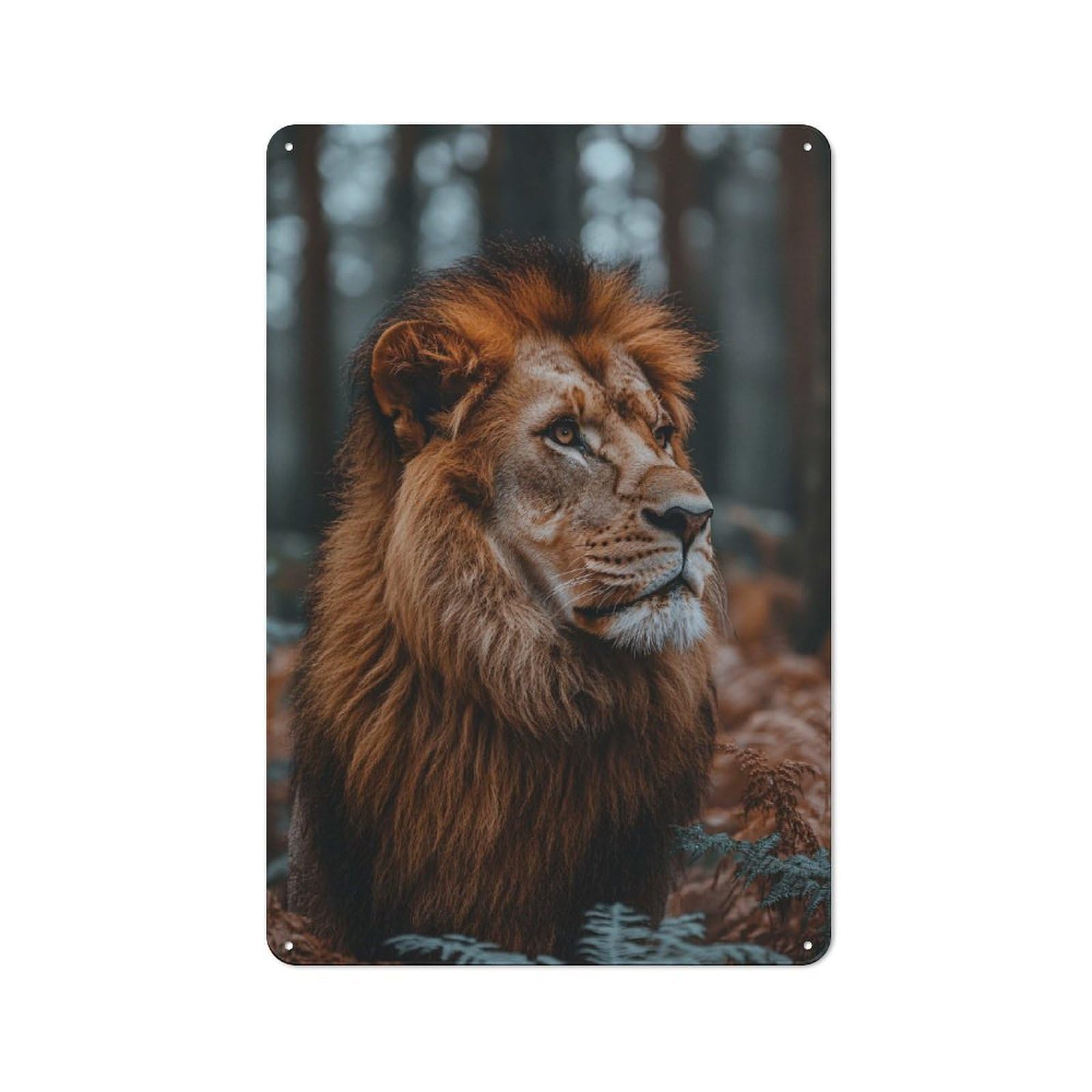 Junmoney Style-20 Tin Wall Plaque 30X20cm With Majestic Lion Portrait In Natural Setting For Hobby Room Or Studio, For Themed Interiors In Hobby Rooms And Studios