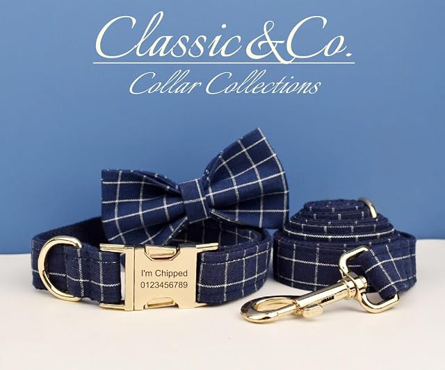 Foto 3 de 7 de Collar de perro personalizado con hebilla de metal grabada, nombre y número de teléfono personalizados