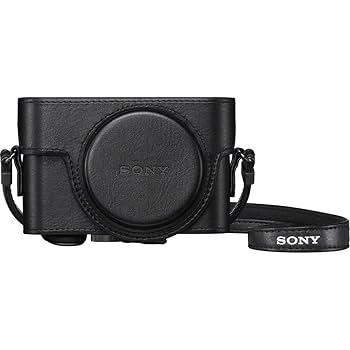 【難あり】SONY DSC-WX350 ケース付き 極美品 ケース付SONY サイバーショット DSC-WX350 デジタル