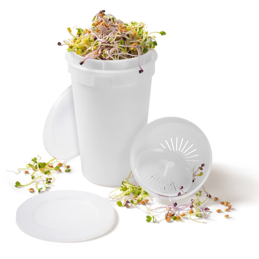Davartis EasySprout Frische Getreidegräser und Sprossen selbst ernten