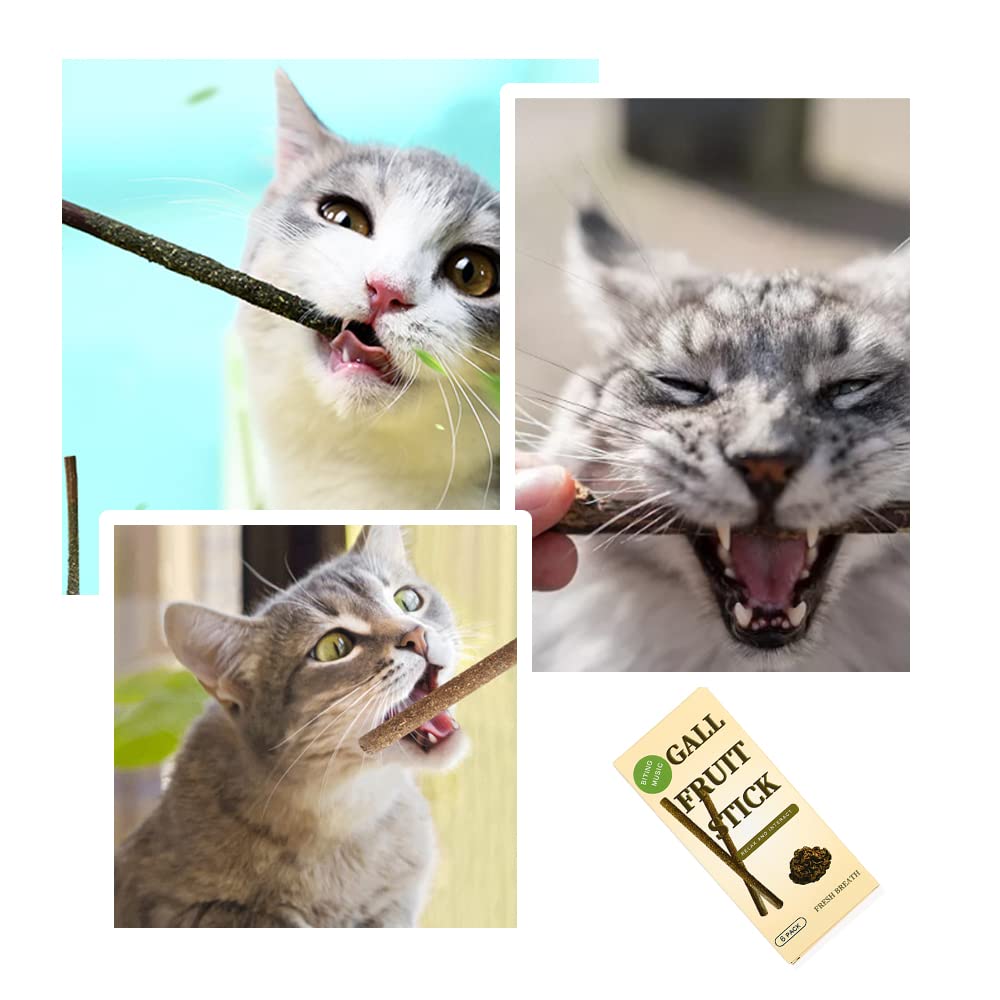6 Palos masticables para gatos, palos de hierba gatera natural, juguetes de hierba gatera biliar, palillo de frutas, dientes de gato para limpieza de dientes de gato